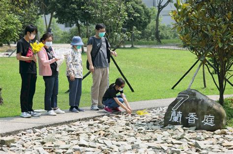 樹葬對子孫|影／環保葬／風水師：樹葬生魂若不安寧 恐影響後代子孫運勢